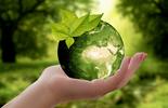 Eco vadis_udržitelnost